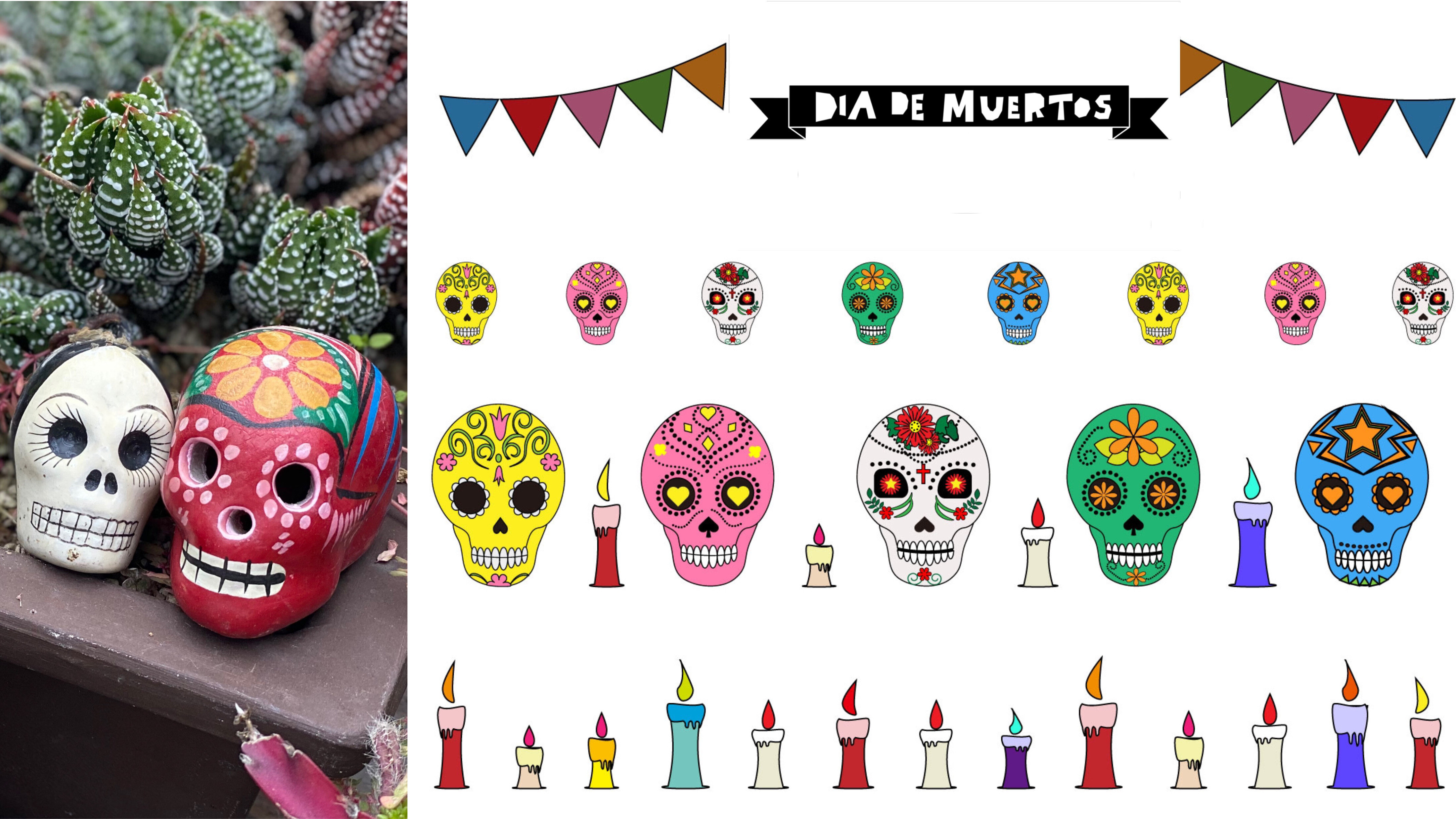 追加募集/先着】メキシコ人とカラフルドクロをつくって、メキシコの